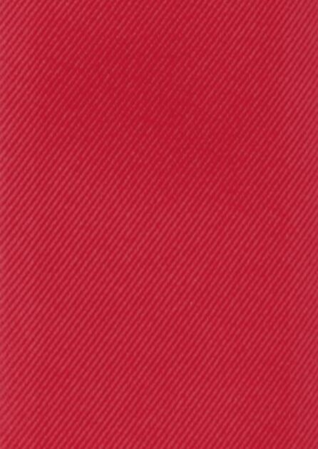 Modern Solid Valentina Swatch