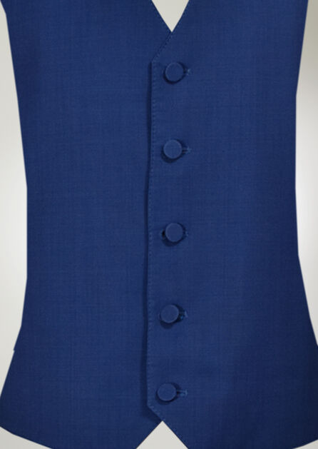 Brooks Cobalt Vest