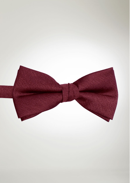 Texture Solid Apple Bow