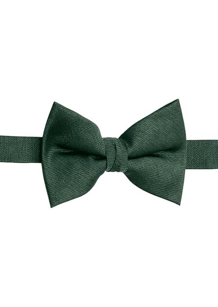 Evergreen Texture Solid Bow Tie
