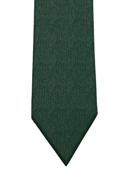 Evergreen Texture Solid Long Tie