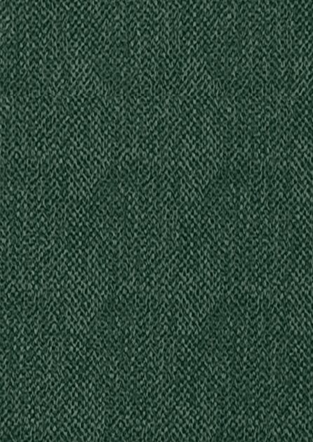 Evergreen Texture Solid Swatch