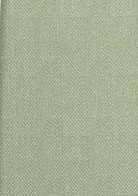 Dusty Sage Texture Solid Swatch