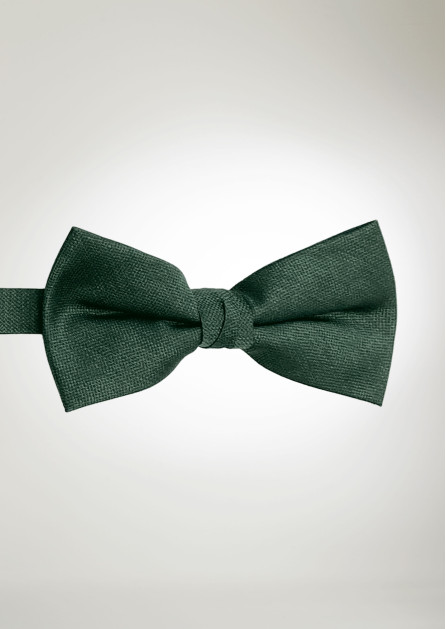 Texture Solid Evergreen Bow