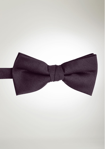 Texture Solid Plum Bow
