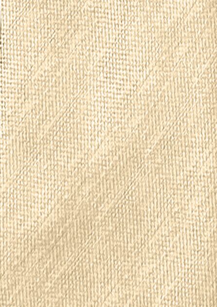 Tan Texture Solid Swatch