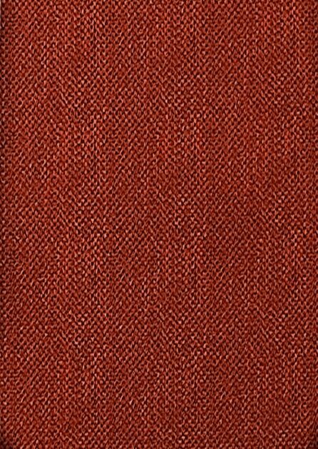 Terracotta Texture Solid Swatch