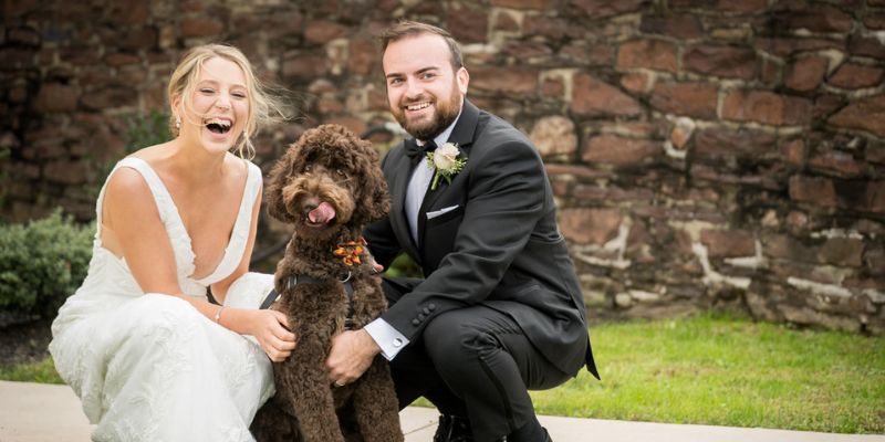 A newlywed couple smiling while holding a dog