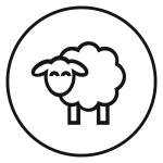 A simple black outline drawing of a sheep with a round, fluffy body and four legs, enclosed within a circular border on a white background.