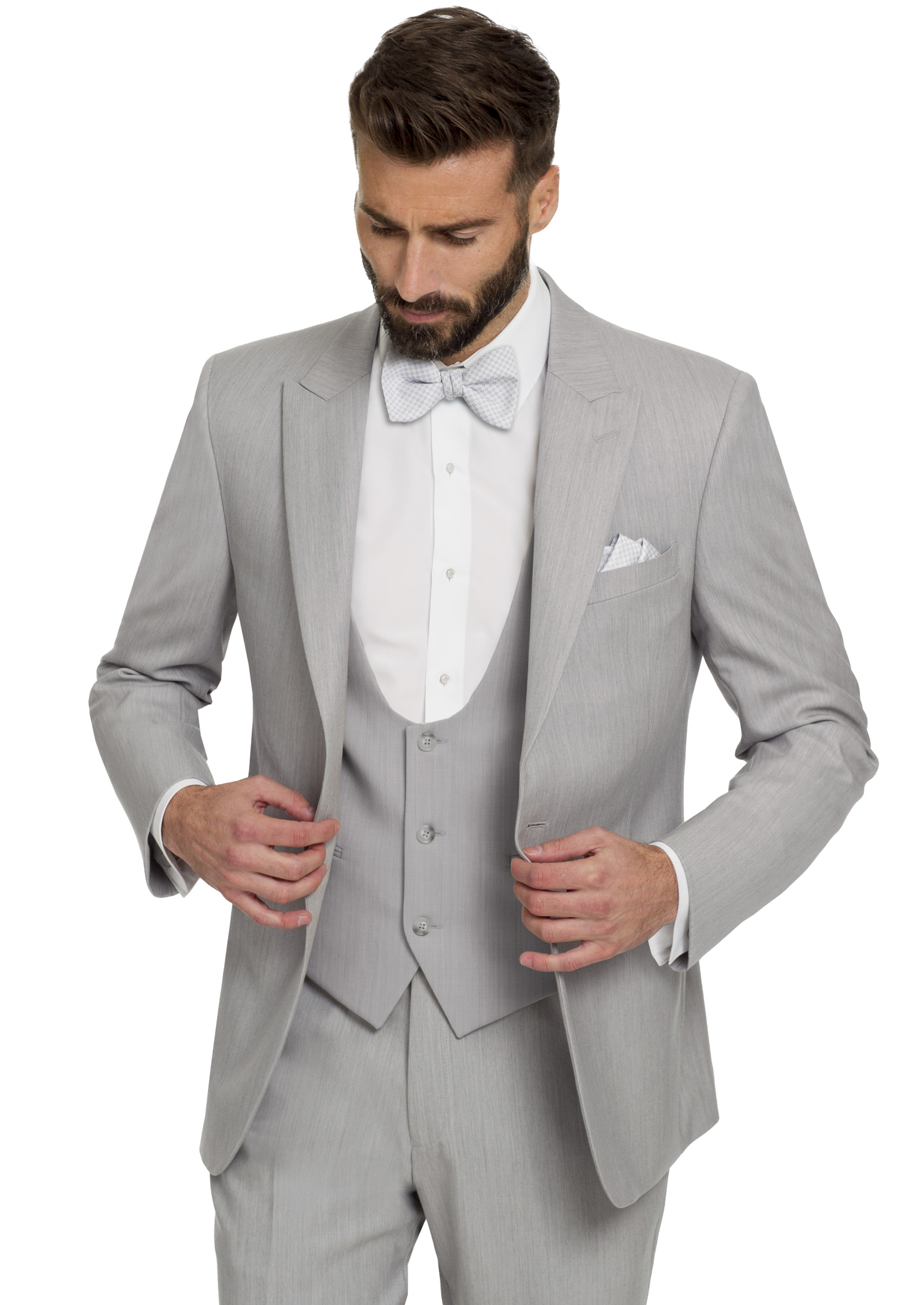 Light Grey Griffin - Image 3