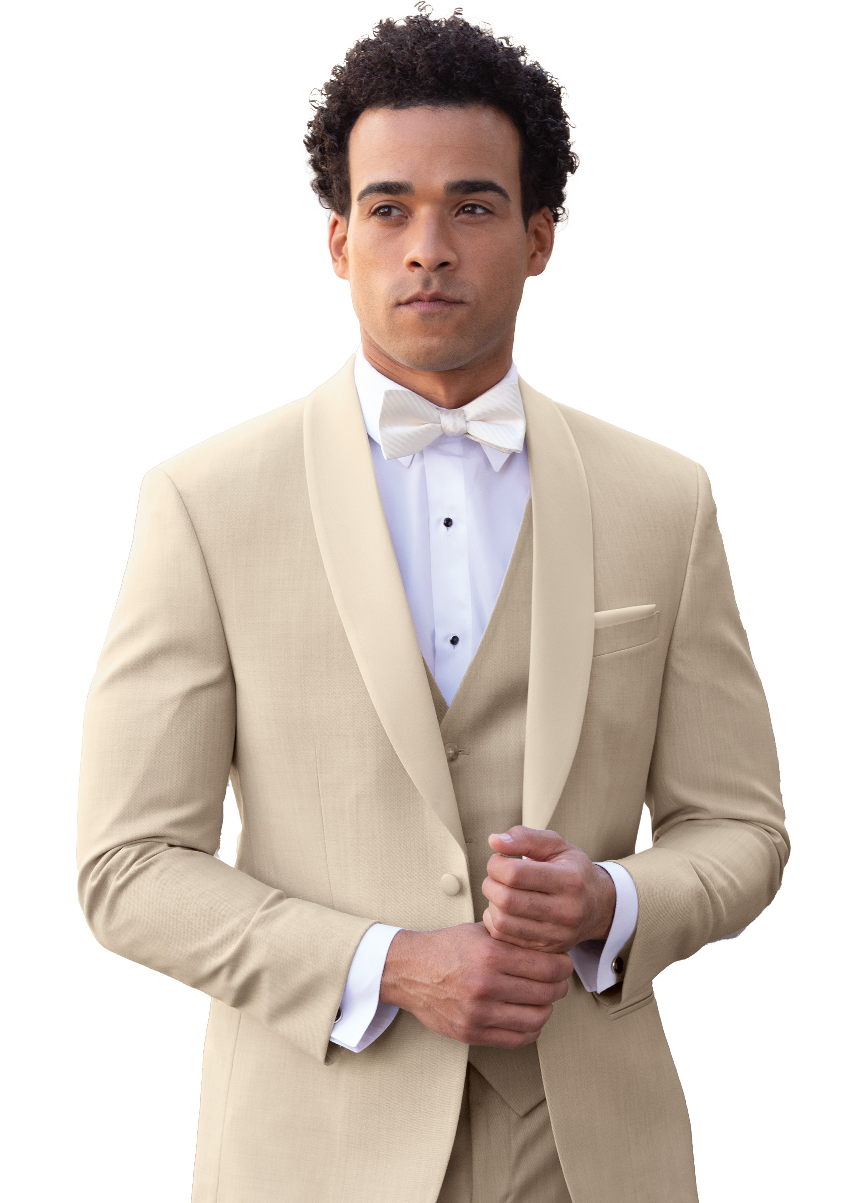Tan Harrison - Image 3