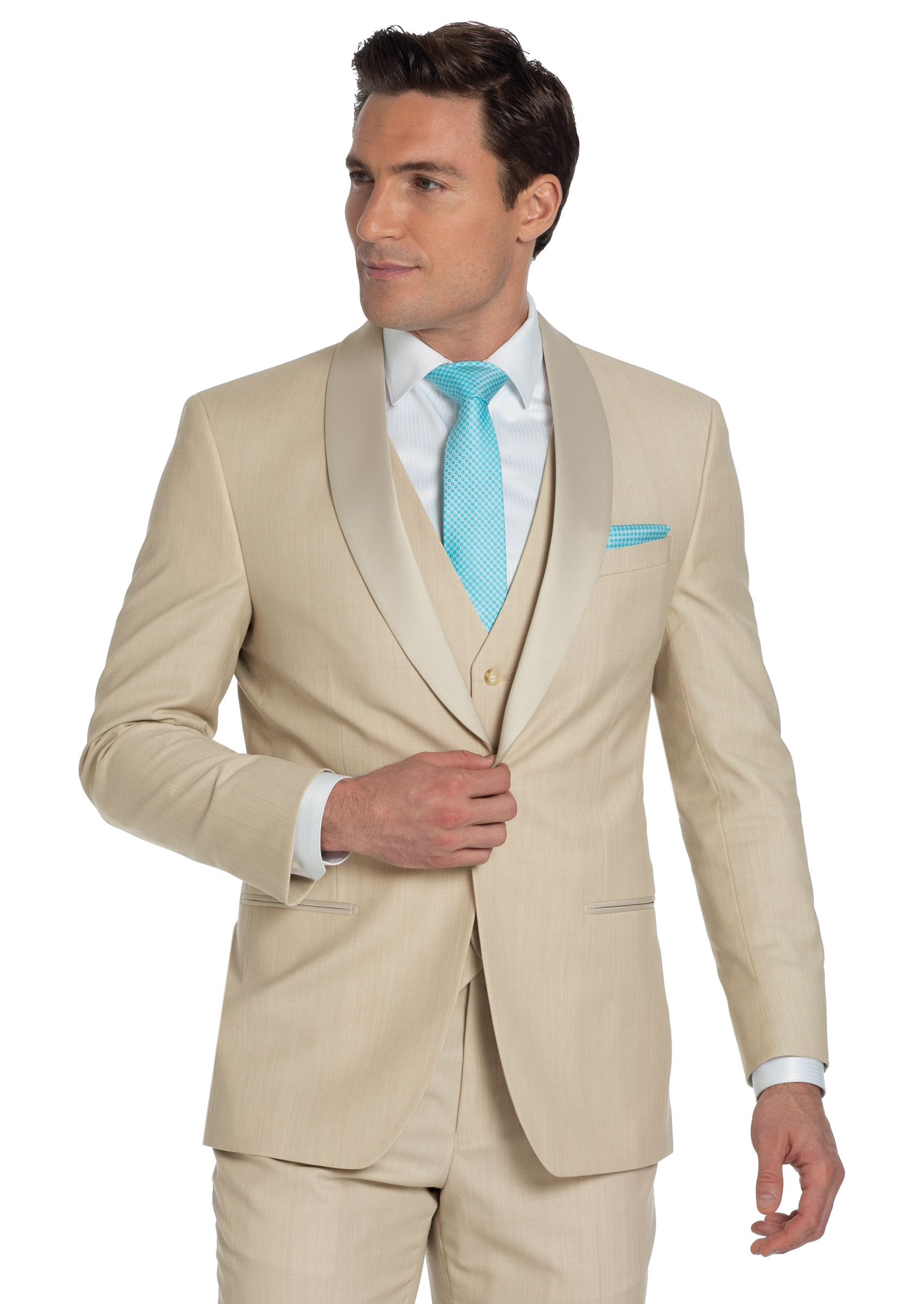 Tan Harrison - Image 4