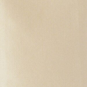 Modern Solid Champagne Swatch