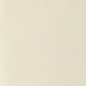 Modern Solid Ivory Swatch