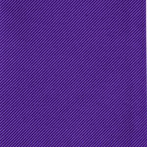 Modern Solid Purple Swatch