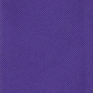 Modern Solid Regency Swatch
