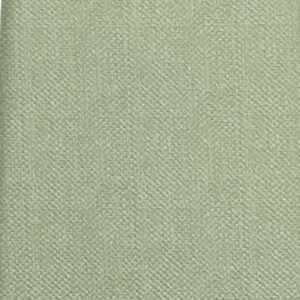 Dusty Sage Texture Solid Swatch