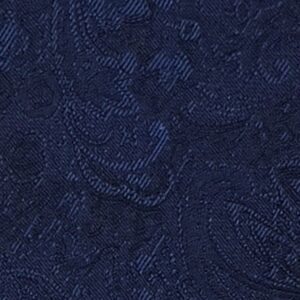 Floral Paisley Navy Swatch