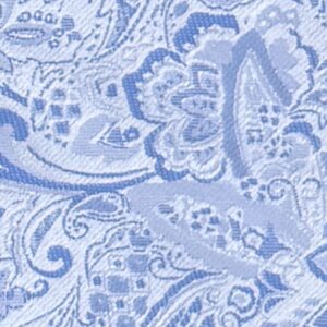 Floral Paisley Periwinkle Swatch